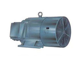 新元肇启，聚力共赢