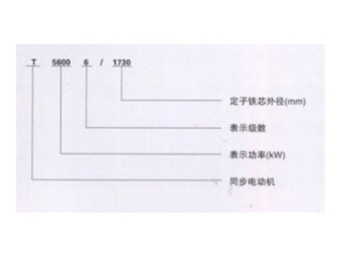T系列大型三相四极、六极同步电动机